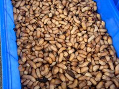 -台山新孖宝柴火黄鳝饭(三合温泉店)