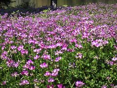 -福建鲤鱼洲酒店