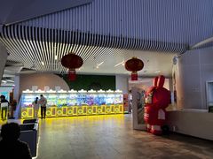 -星轶IMAX影城(桐乡吾悦广场旗舰店)