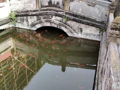 -报恩寺(平武县)