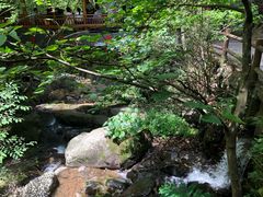 -藏龙百瀑风景区