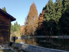 -山王坪喀斯特国家生态公园