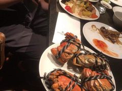 -上海龙之梦万丽酒店