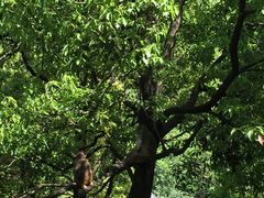 -黔灵山公园-南门售票处