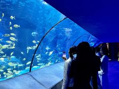 -太平洋海底世界