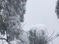 -浙西天池景区