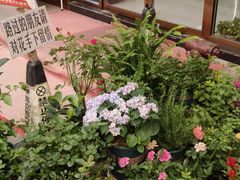 -军屯锅魁(城市花园店)