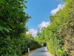 -华侨城湿地公园