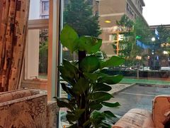 -YAFEE雅菲·粤菜·湘菜·融合菜(魏公村店)