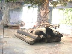 -海南热带野生动植物园