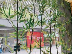 -蓉城小馆(科兴店)