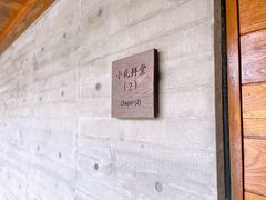 -美丽洲堂