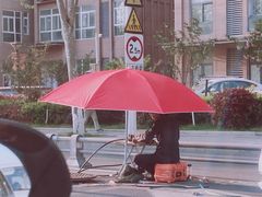 -合肥滨湖国家森林公园