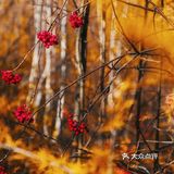 内蒙古旅游 | 媲美九寨，不输喀纳斯的宝藏地