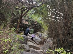 -瑶湖郊野森林公园