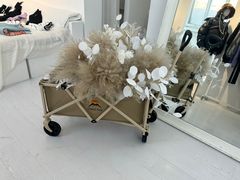 -白噪音White Noise·798概念店