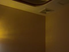 -金色莲花泰式按摩SPA(石牌店)