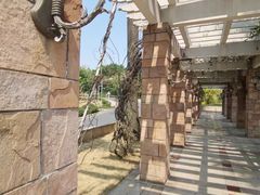 -南国桃园旅游度假区