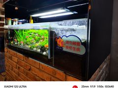 -后院犇牛主题餐厅(云岗店)