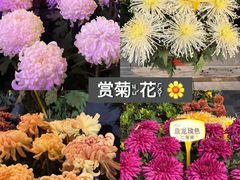 -清明上河园