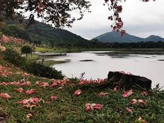 -风云岭森林公园