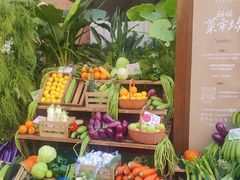 -蘑界·野生菌火锅(深业上城店)