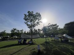 -佛手湖郊野公园