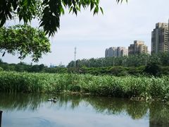 -前关湿地公园