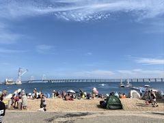 -日月昇渔家菜·海肠捞饭·大连海鲜(星海公园店)