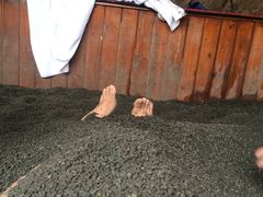 -南京汤山紫清湖生态旅游温泉度假区