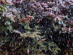 -泉城广场