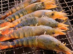 -白仁仔· 活烤海鲜 宵夜(豫园店)