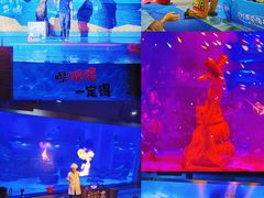 -顺德南宏海立方海洋公园