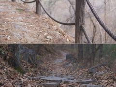 -阳台山自然风景区