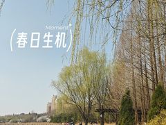 -前关湿地公园