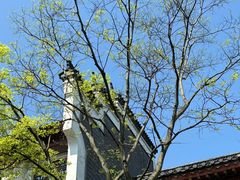 -常德桃花源景区
