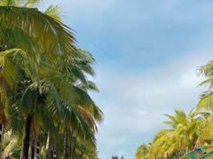 -白沙门生态公园