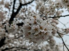 -苏州上方山国家森林公园