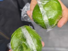 -沈大成(南京东路店)