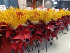 -红星美凯龙(东北全球家居1号店)