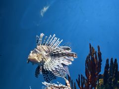 -海合安武汉极地海洋公园