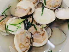 -黄海国家森林公园