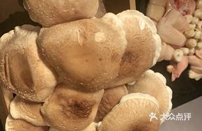 Fresh-Harvested Mushroom