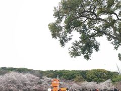-苏州上方山国家森林公园