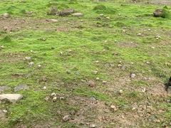 -东寨港红树林旅游区