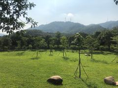 -田心森林公园