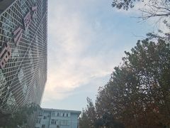 -EnergyCake蛋糕理想国