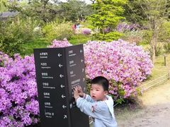 -景福宫