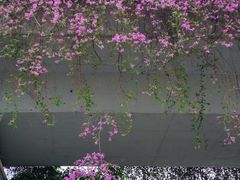 -淘金(地铁站)