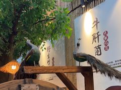 -大理董·董家小厨野生菌火锅(古城旗舰店)